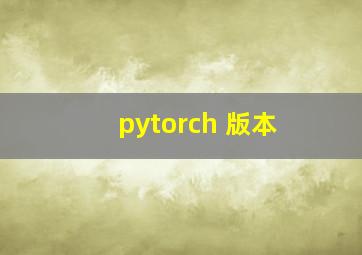 pytorch 版本